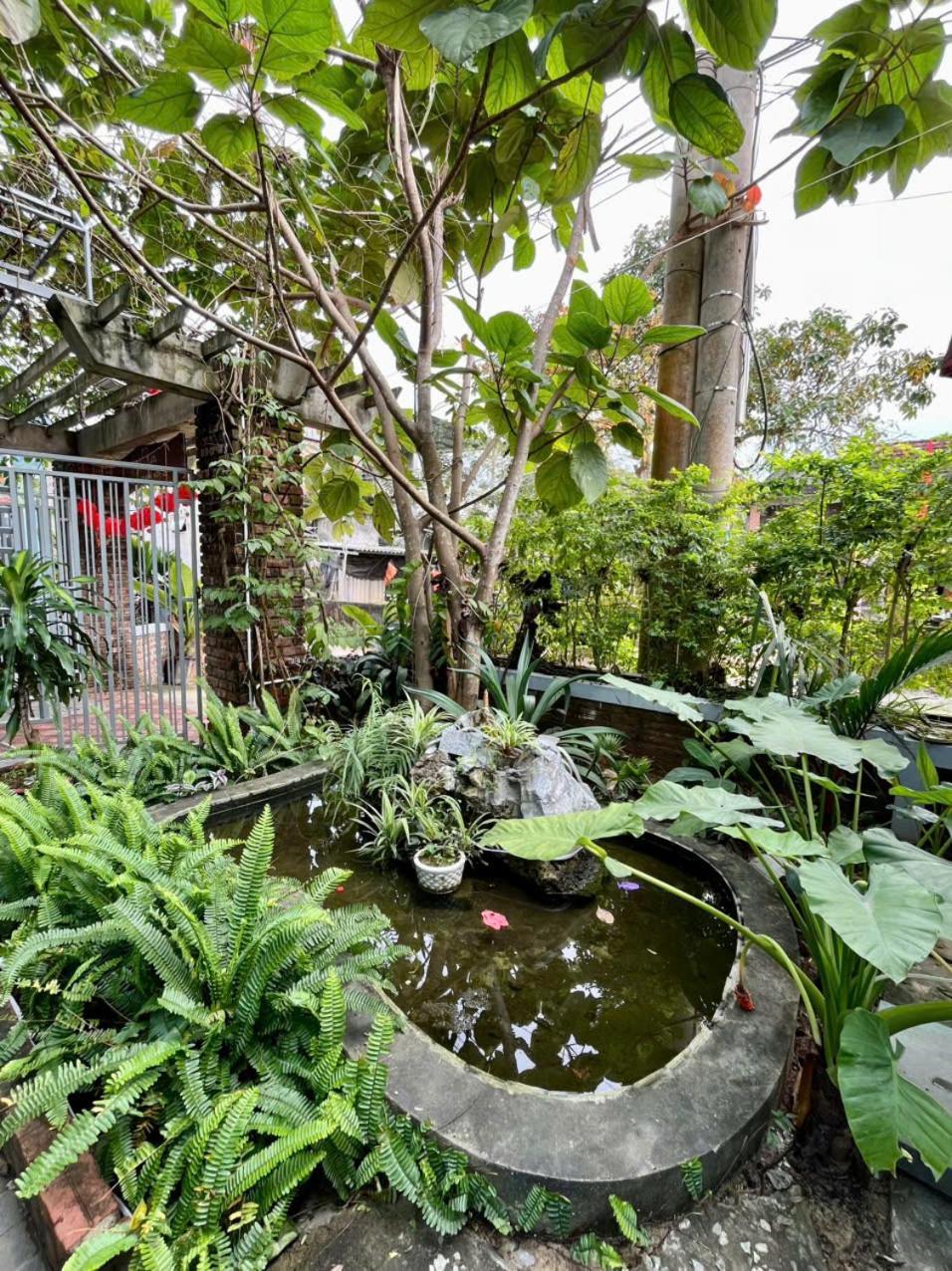 An An Homestay Bungalow Phong Nha Zewnętrze zdjęcie